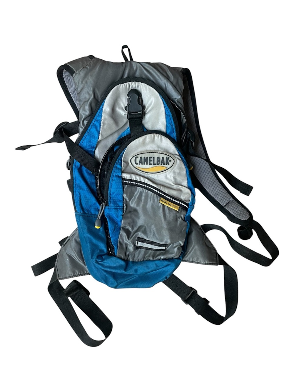 CamelBak Blue and Gray Hydration Backpack